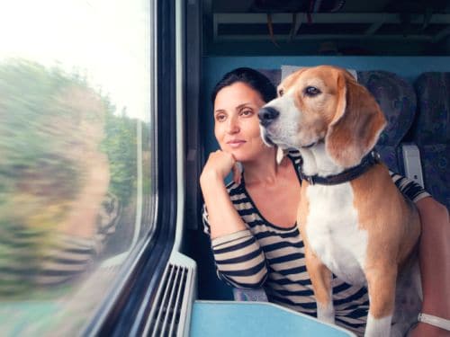 Viajar en tren con animales
