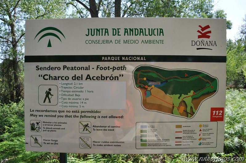 Visitar el Parque Nacional de Doñana. 6