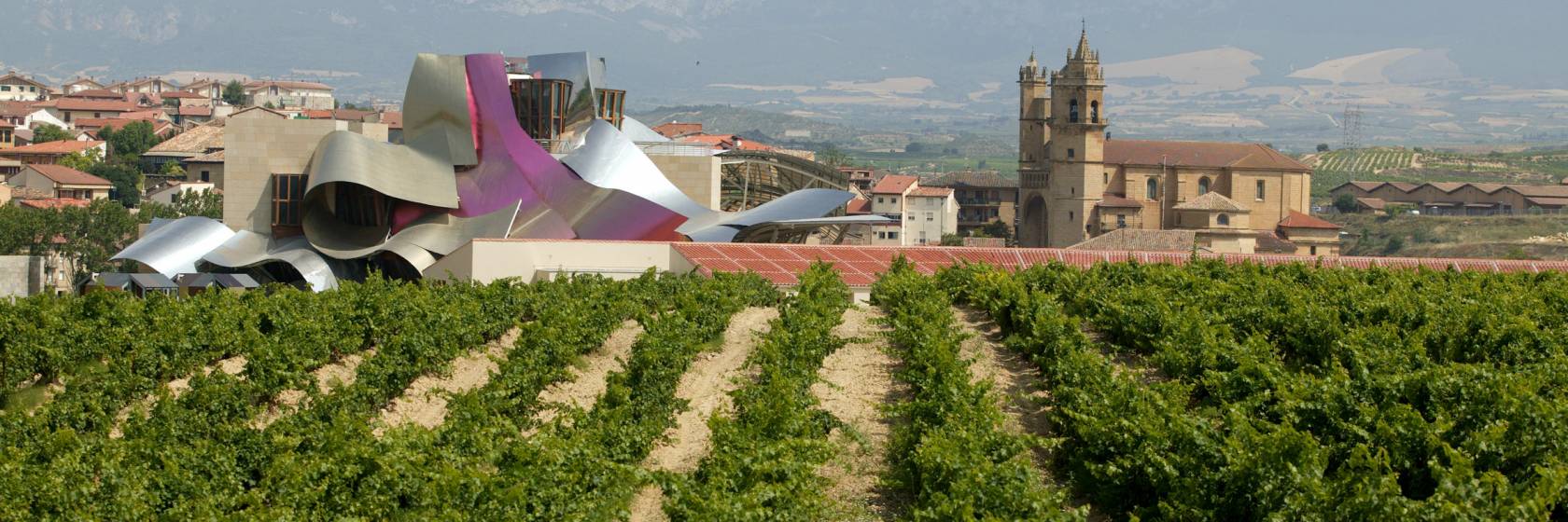 Conoce las 5 mejores rutas del vino españolas viajando en tren o AVE 1