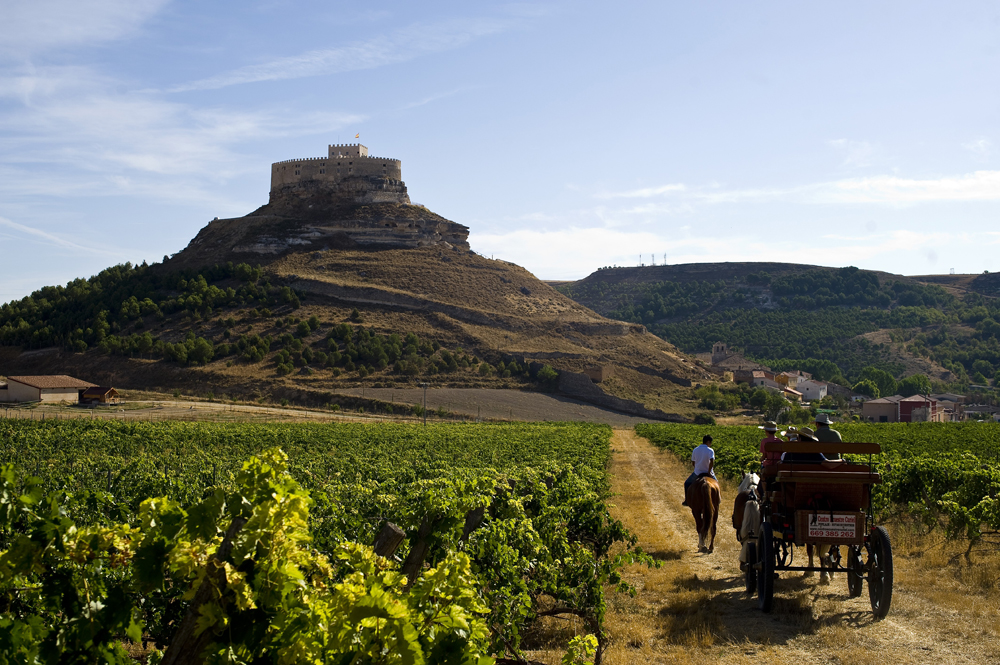 Conoce las 5 mejores rutas del vino españolas viajando en tren o AVE 2